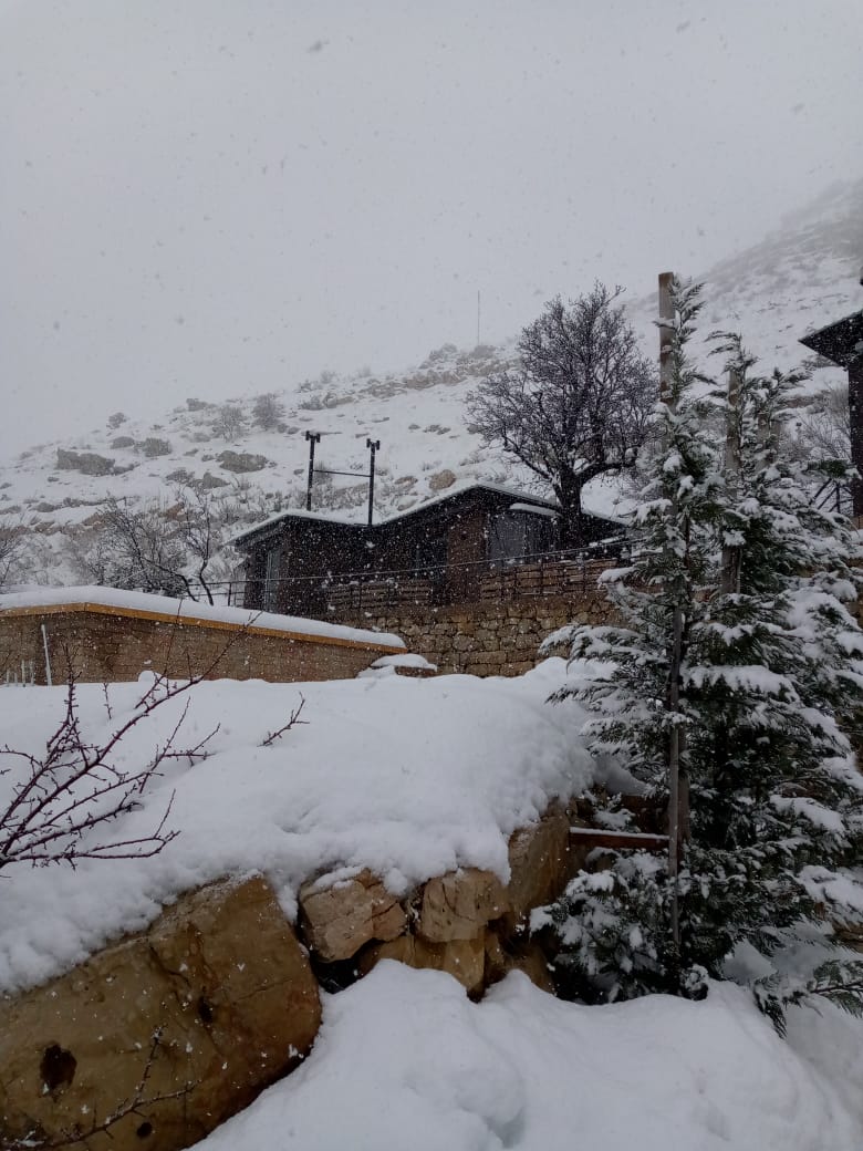 Huts – Faraya