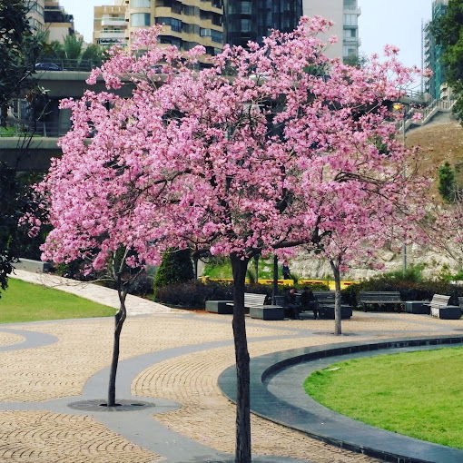 Gebran Khalil Gebran Park