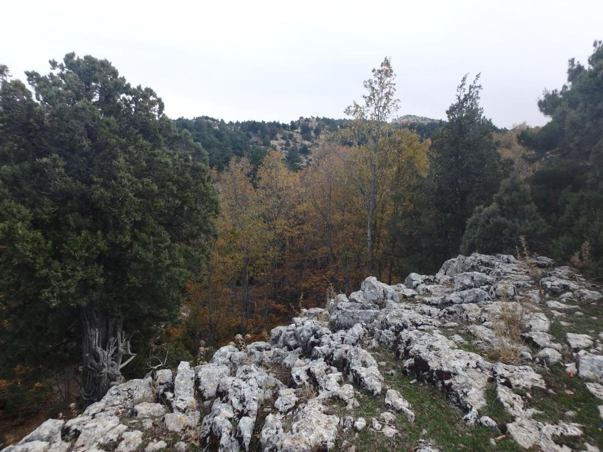 Wadi Aswad hiking trail