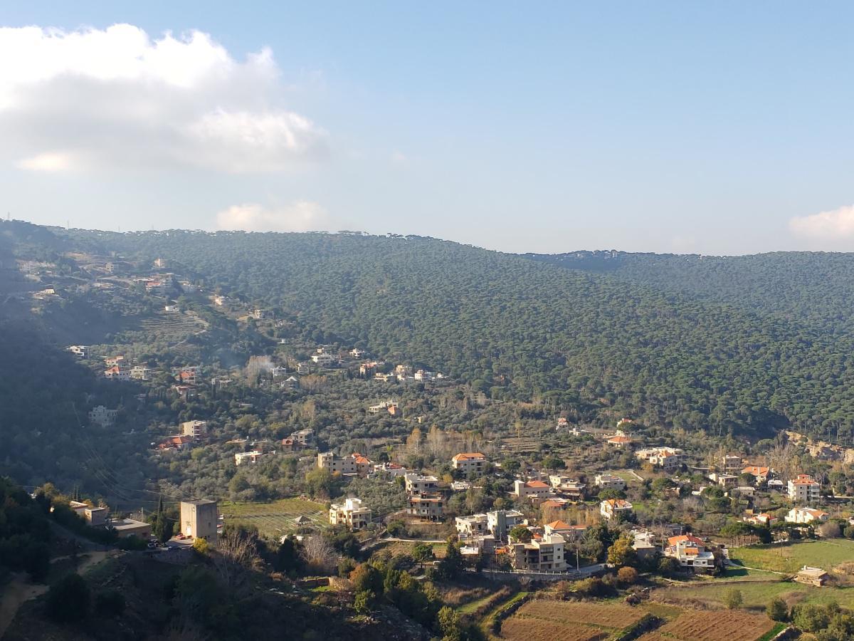 Drive from Niha to Jezzine