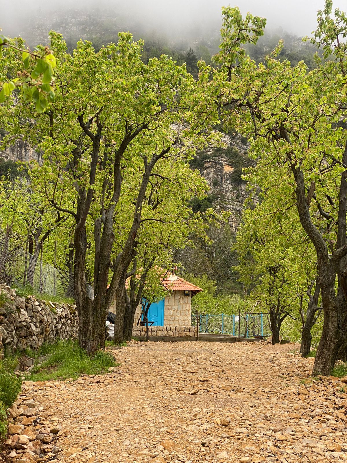 Stone Chalet – Bqarsouna, Dannieh