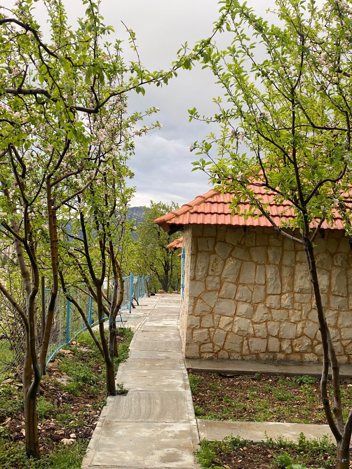 Chalets – Bqarsouna