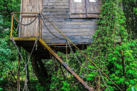 Tree House by the River – Sirjbel, Chouf