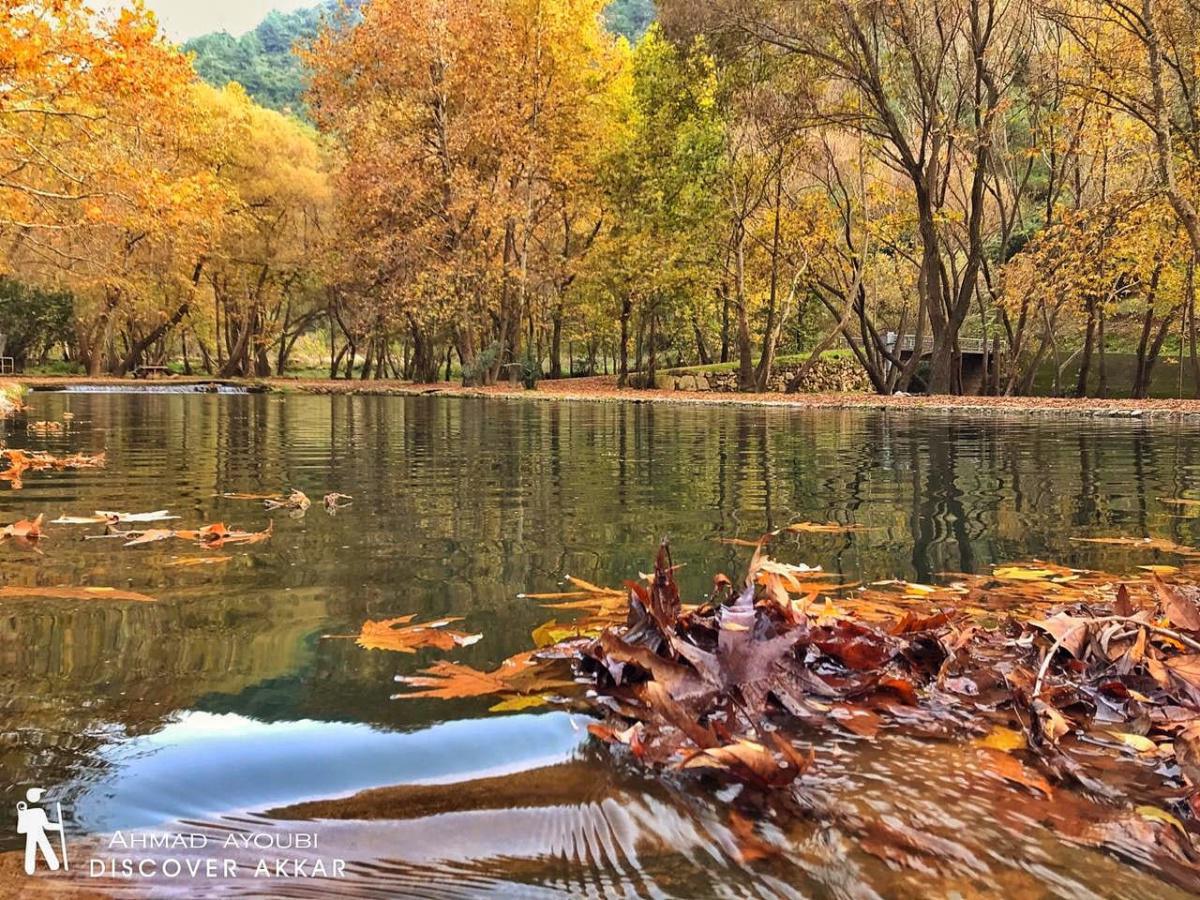 Moussa River Trail –  Akkar