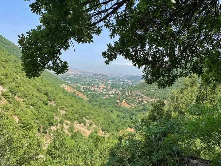 Jungle Trail –  Akkar