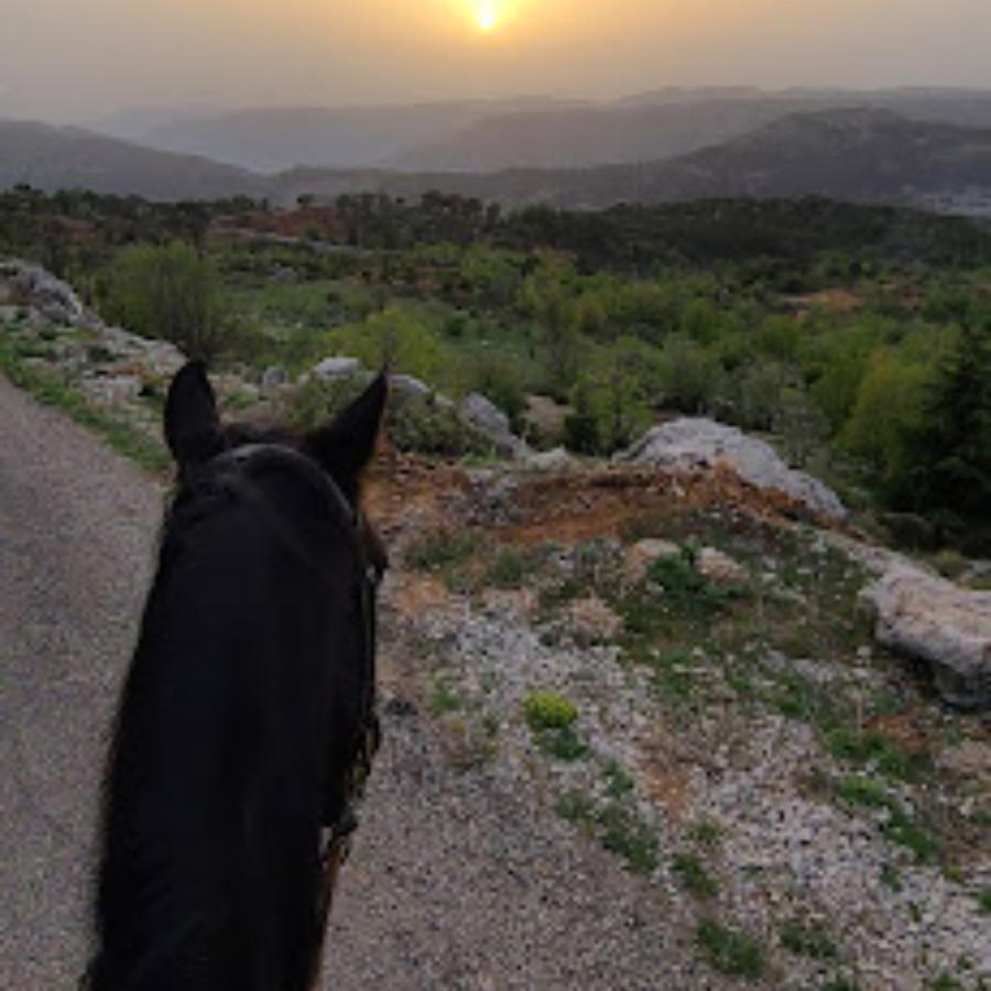 Cedars Horse Riding Club