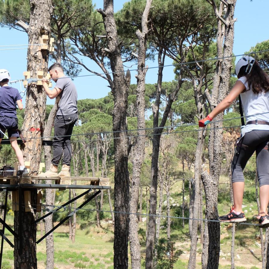 Cedars Horse Riding Club