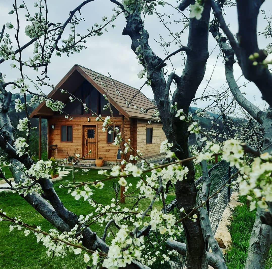 Private Eco-Friendly Chalet – Barouk