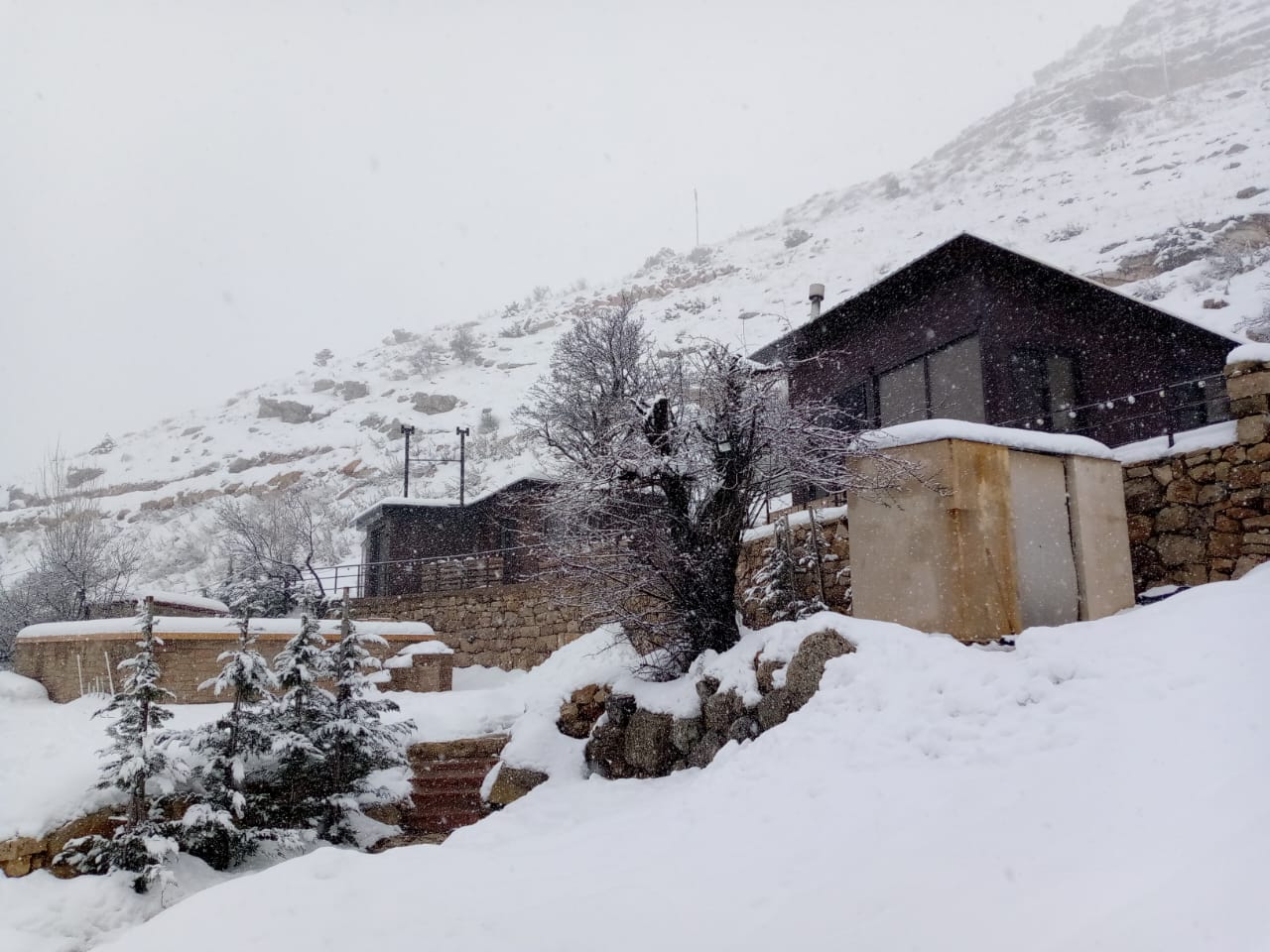 Huts – Faraya