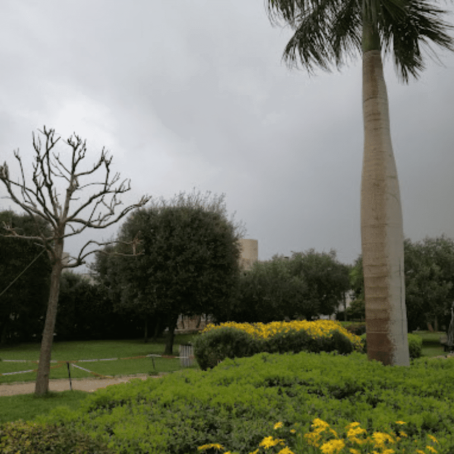 Jbeil public park