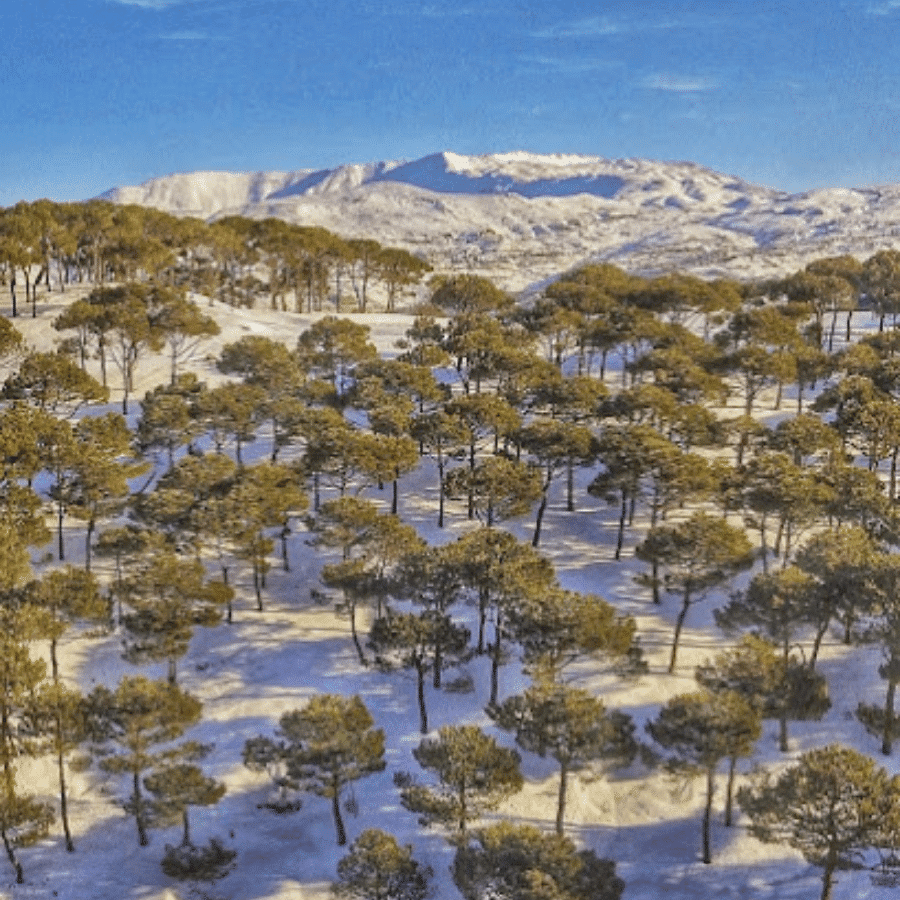 Qornayel lakes