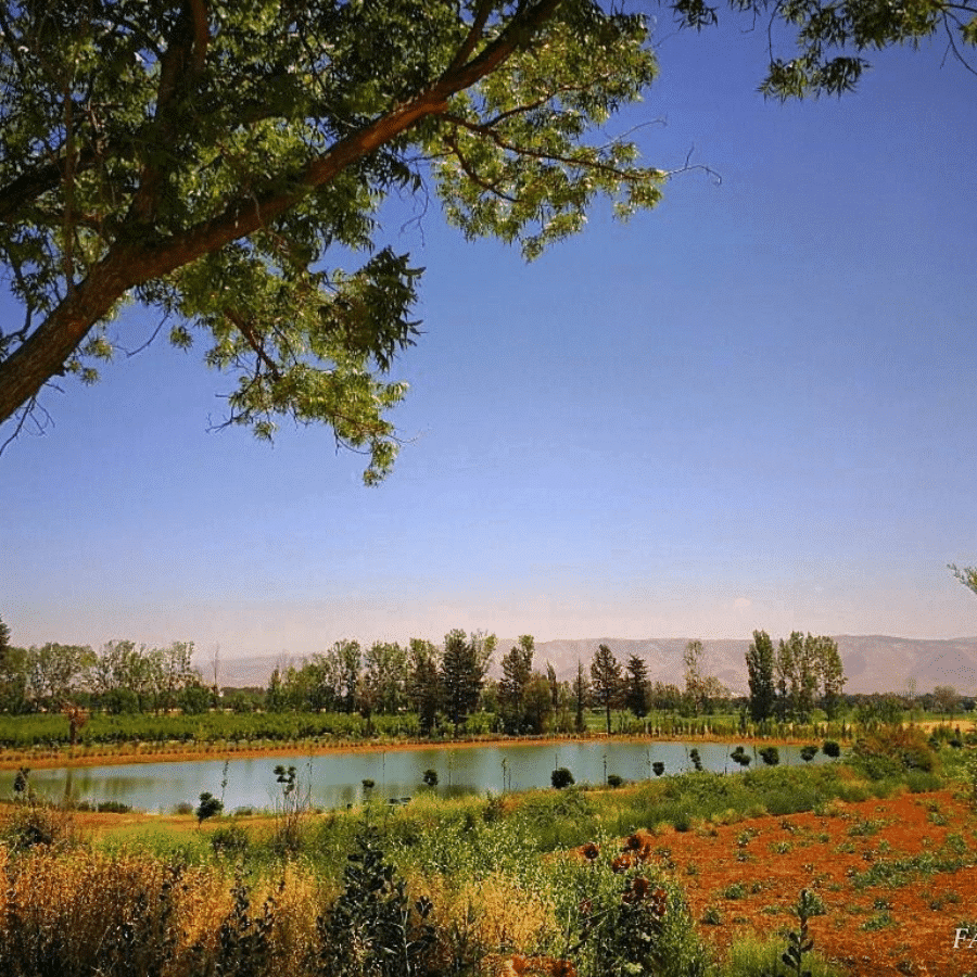 Deir Taanayel Reserve