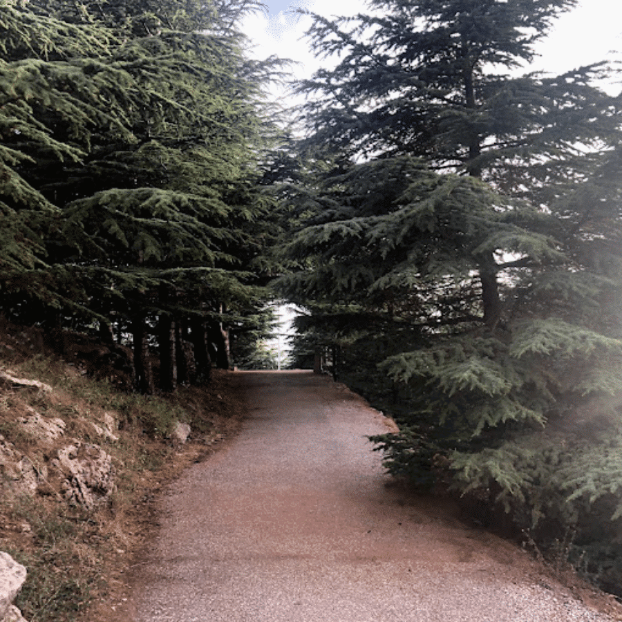 The First Lebanese Flag Podium