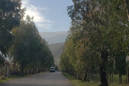 Short drive Qaraoun