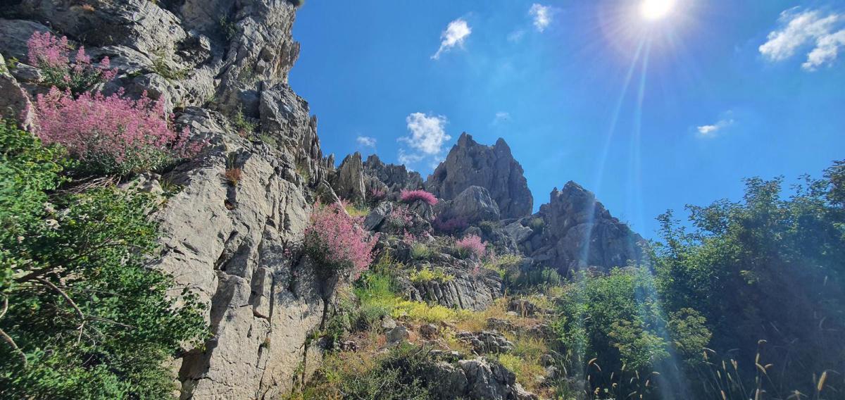 Kfardebian Roman Ruins trail