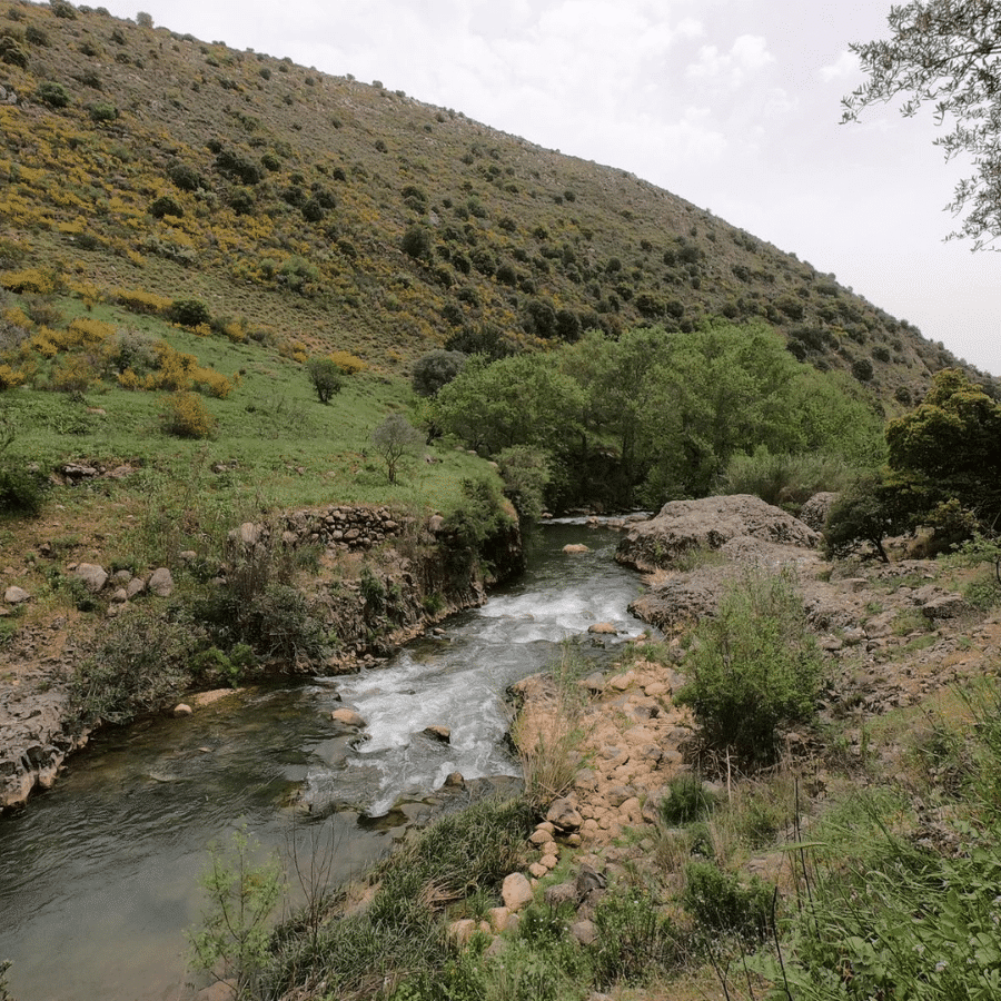 Hasbani River