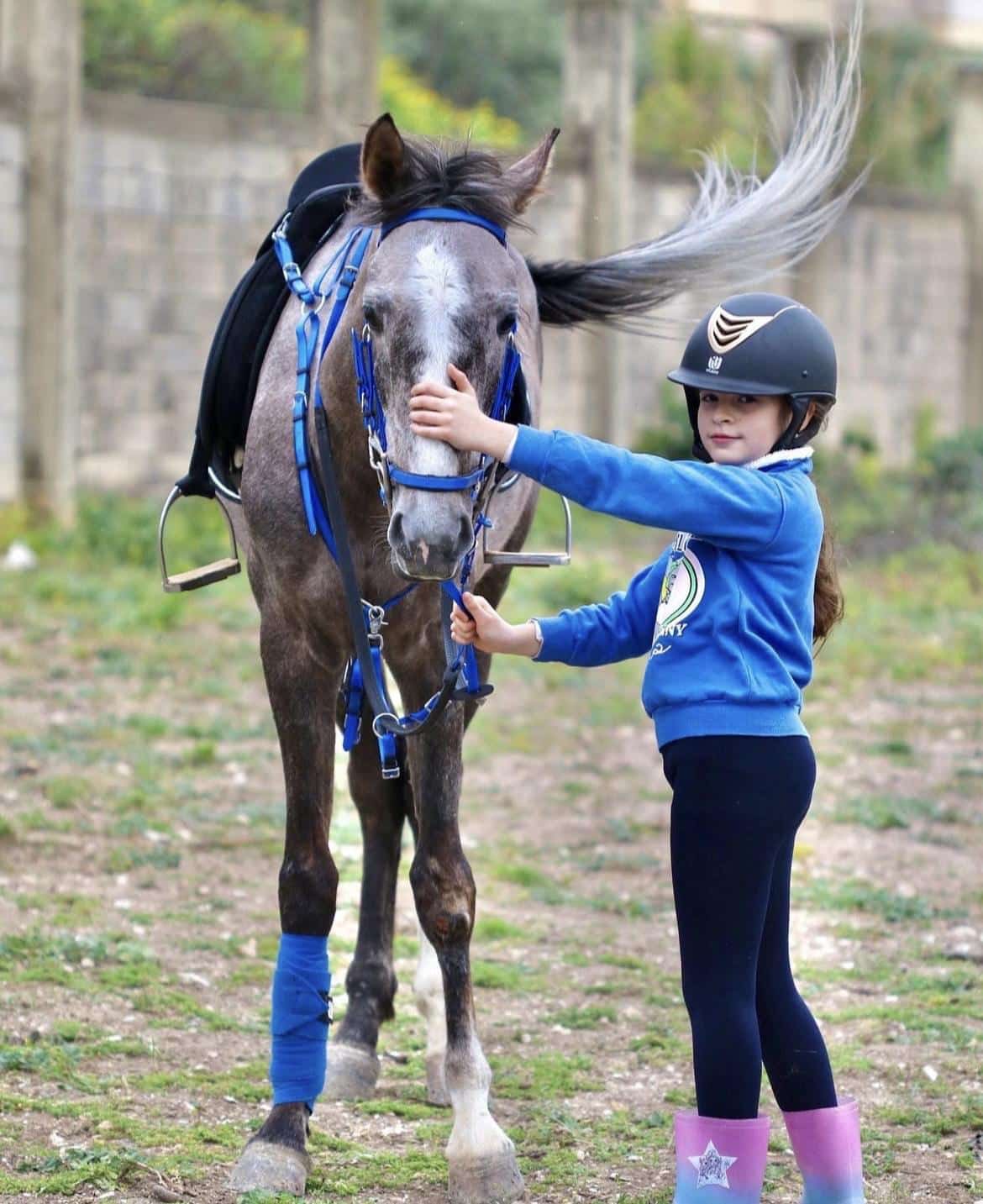 Topline Equesterian