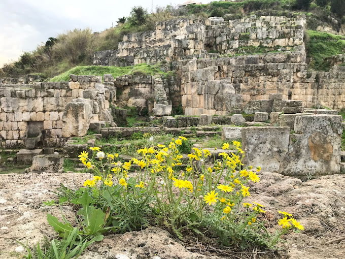 Temple of Eshmun