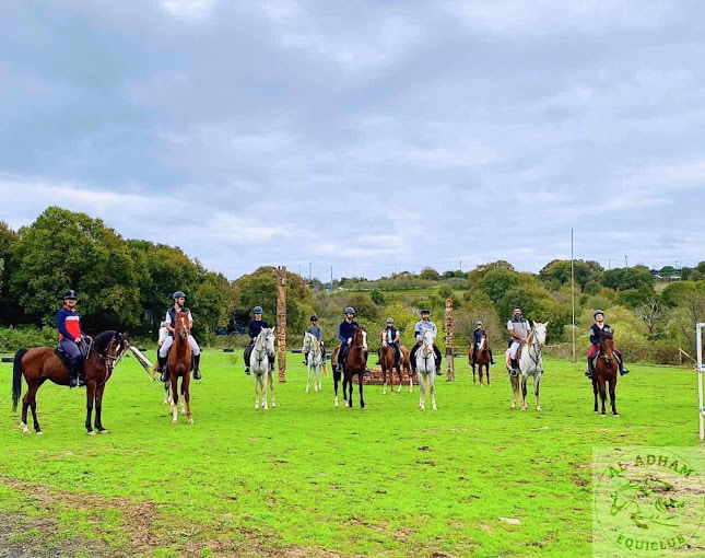 Horseback Riding at Al Adham Equestrian 