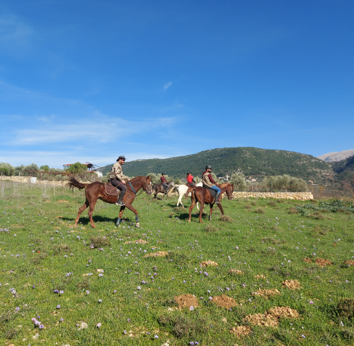 ركوب الخيل على درب الأرز