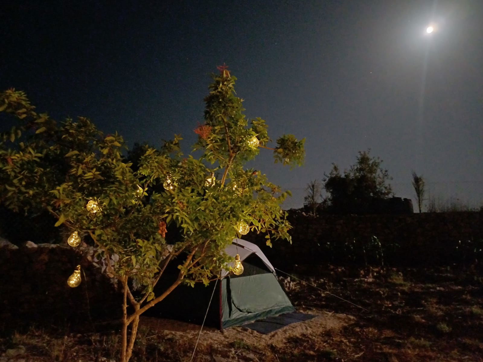 Tent for two people in a Campsite – Hsarat, Jbeil