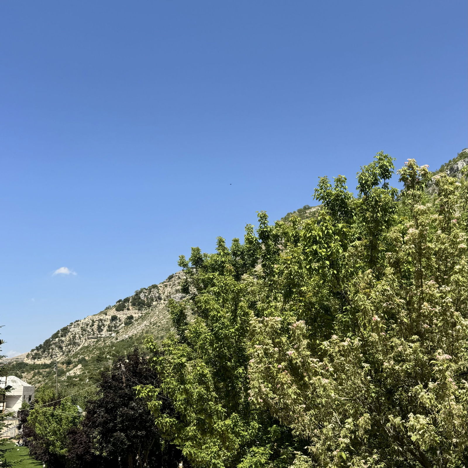 Standard Room in an Hotel – Ehden