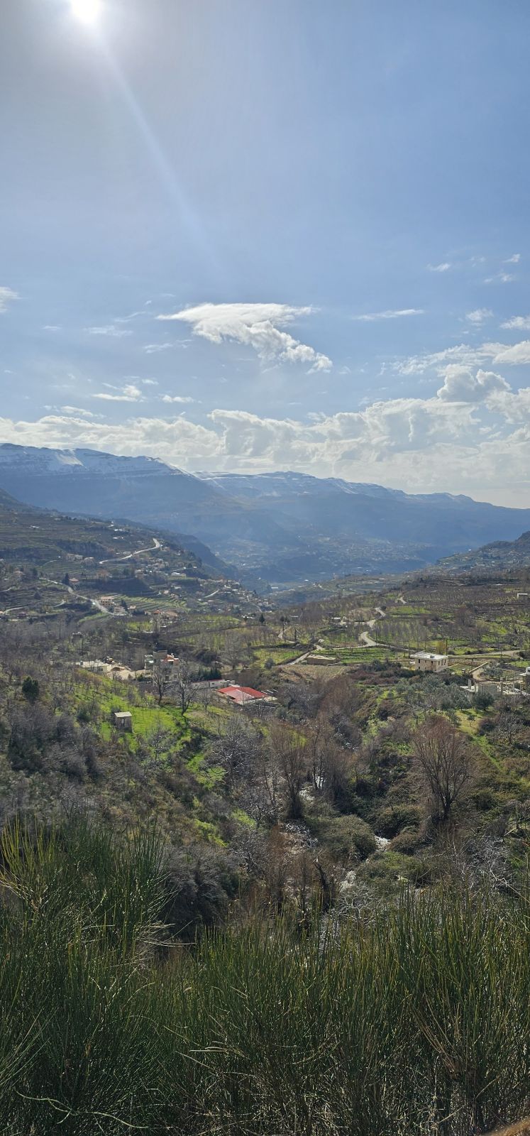 View from the road in Aqoura